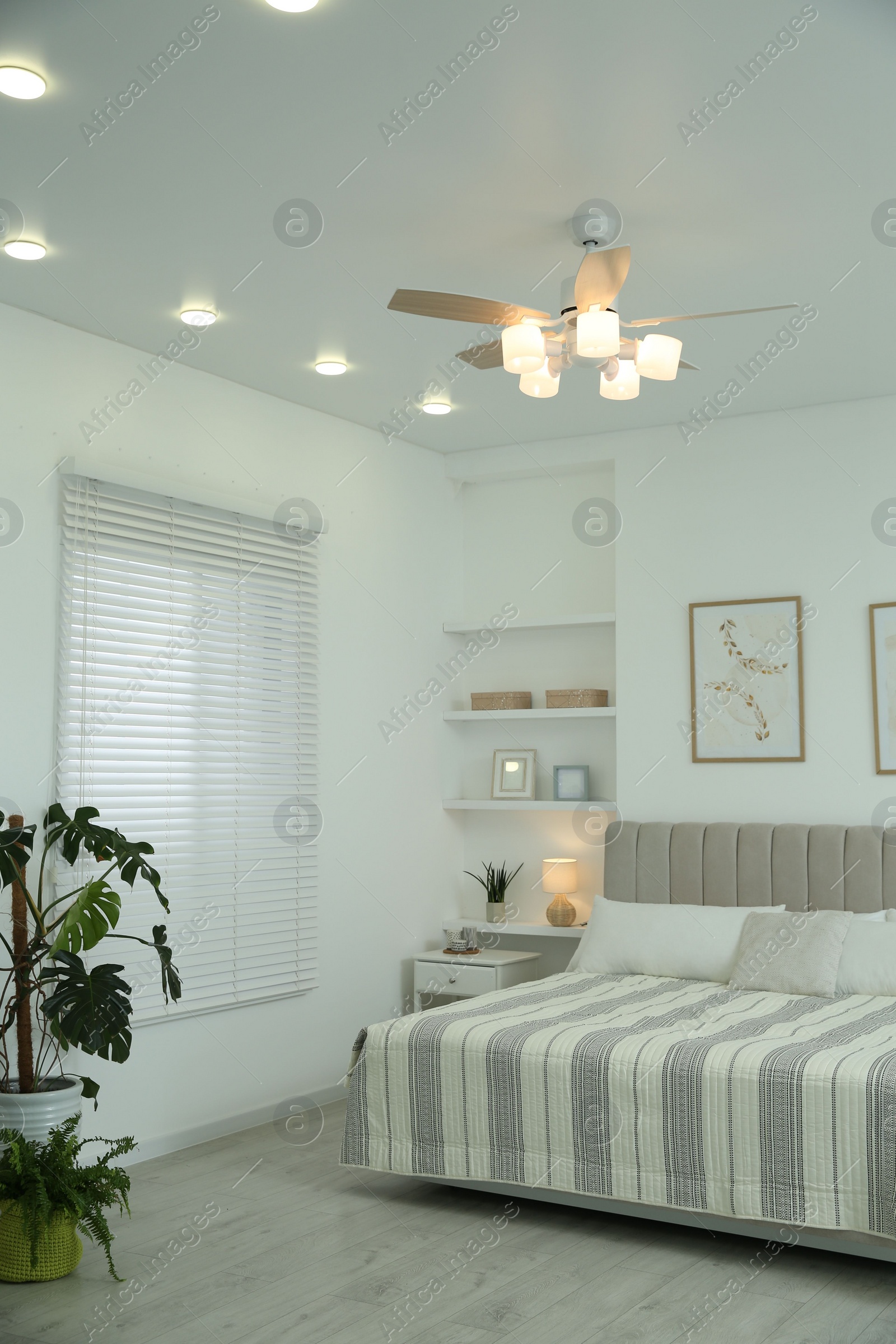 Photo of Comfortable furniture, ceiling fan, houseplants and accessories in stylish bedroom