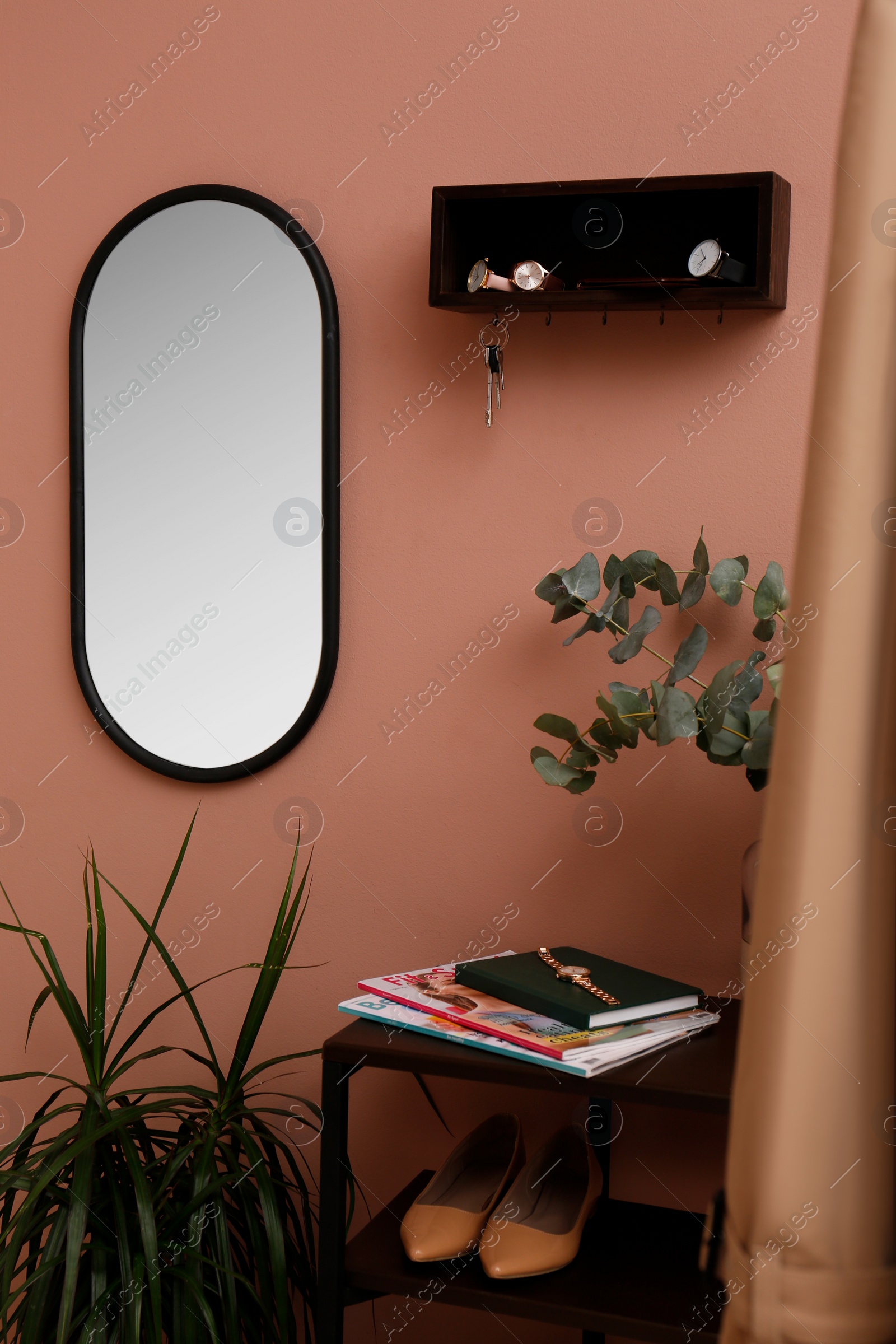 Photo of Hallway interior with green plants and wooden hanger for keys on pale pink wall