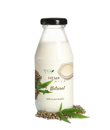 Image of Glass bottle of hemp milk on white background. Vegan product