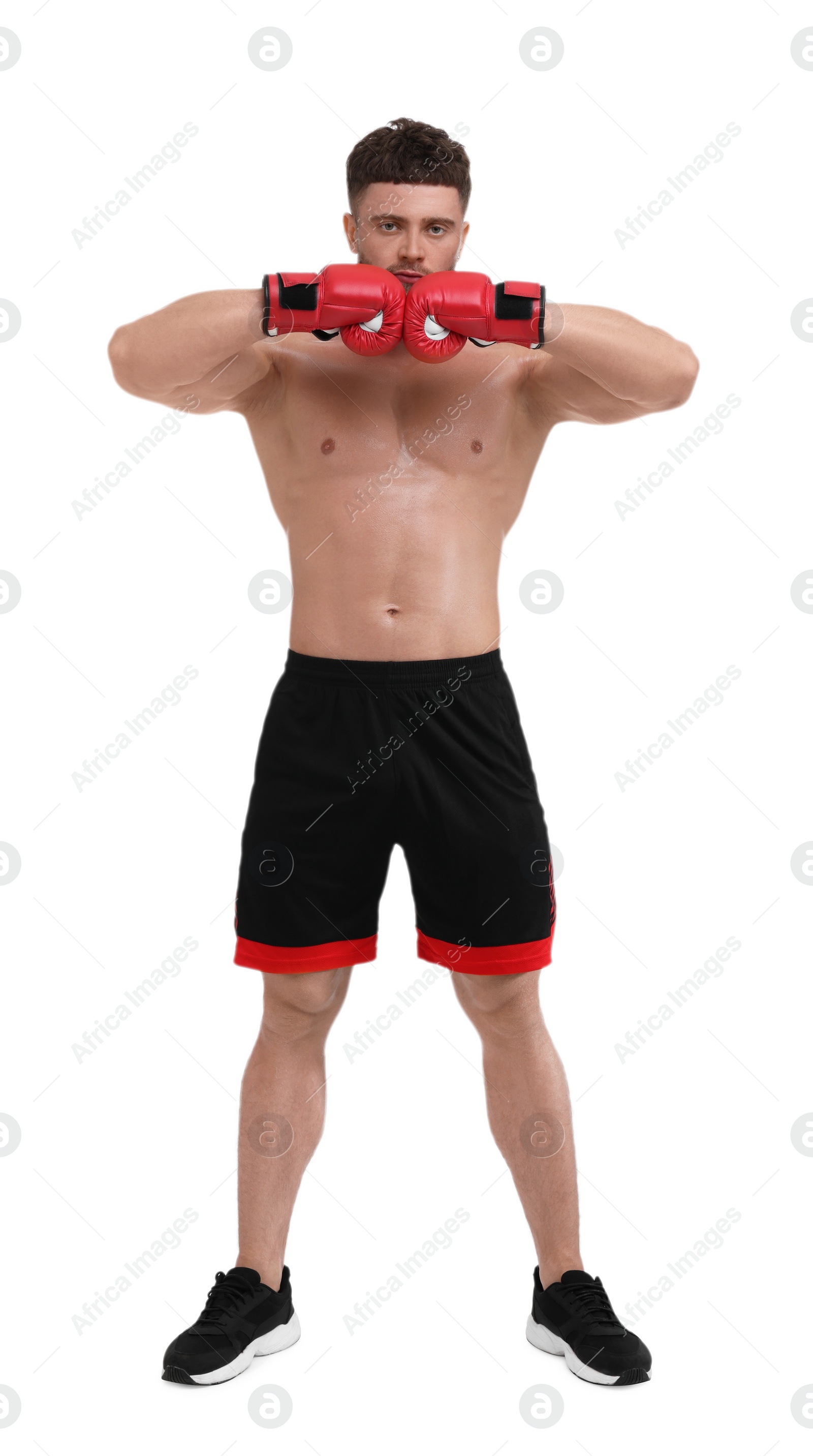 Photo of Man in boxing gloves on white background