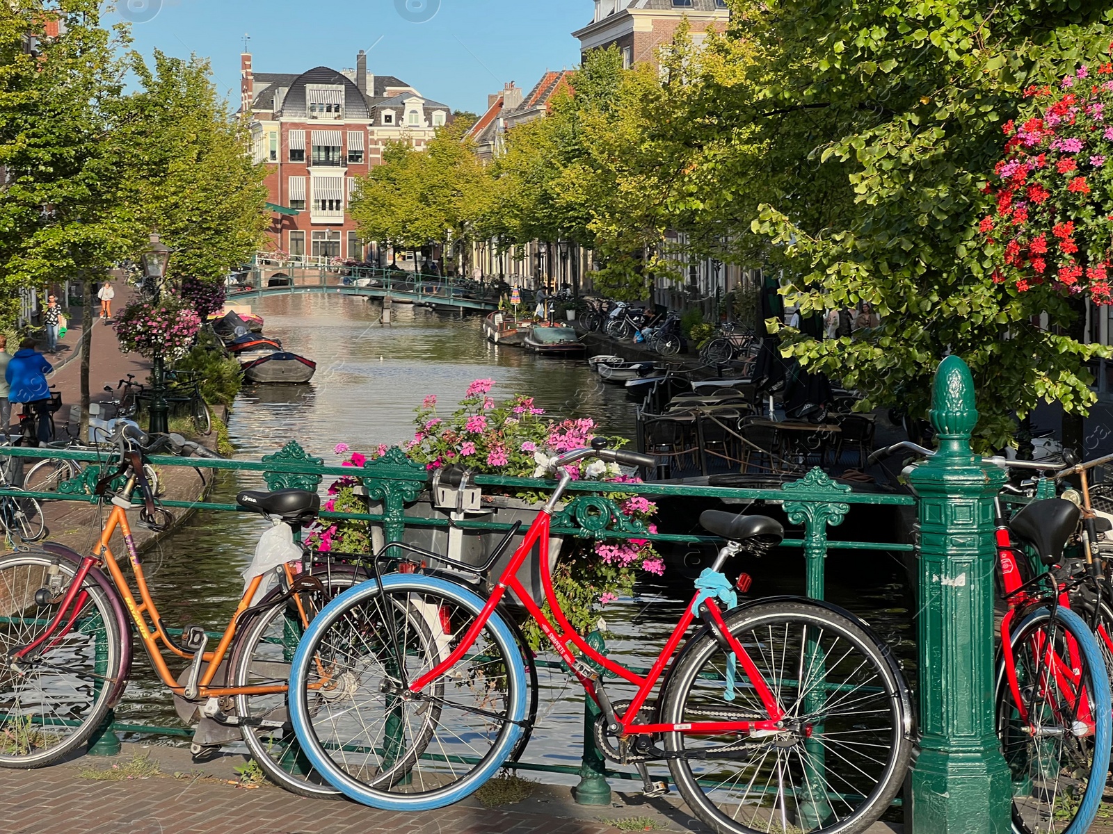 Photo of View of bicycles and beautiful plants near canal on city street