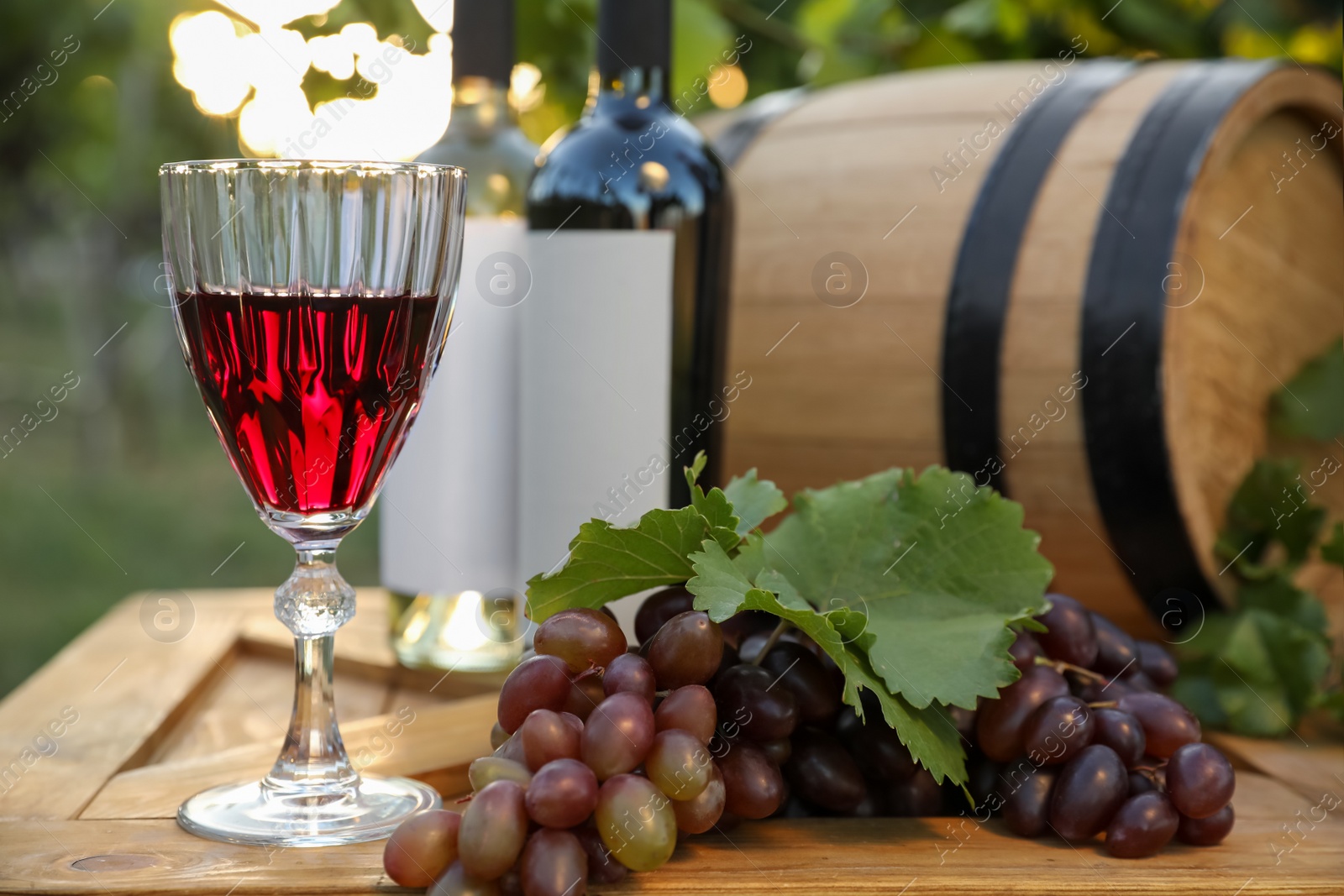 Photo of Composition with wine and ripe grapes on wooden table in vineyard