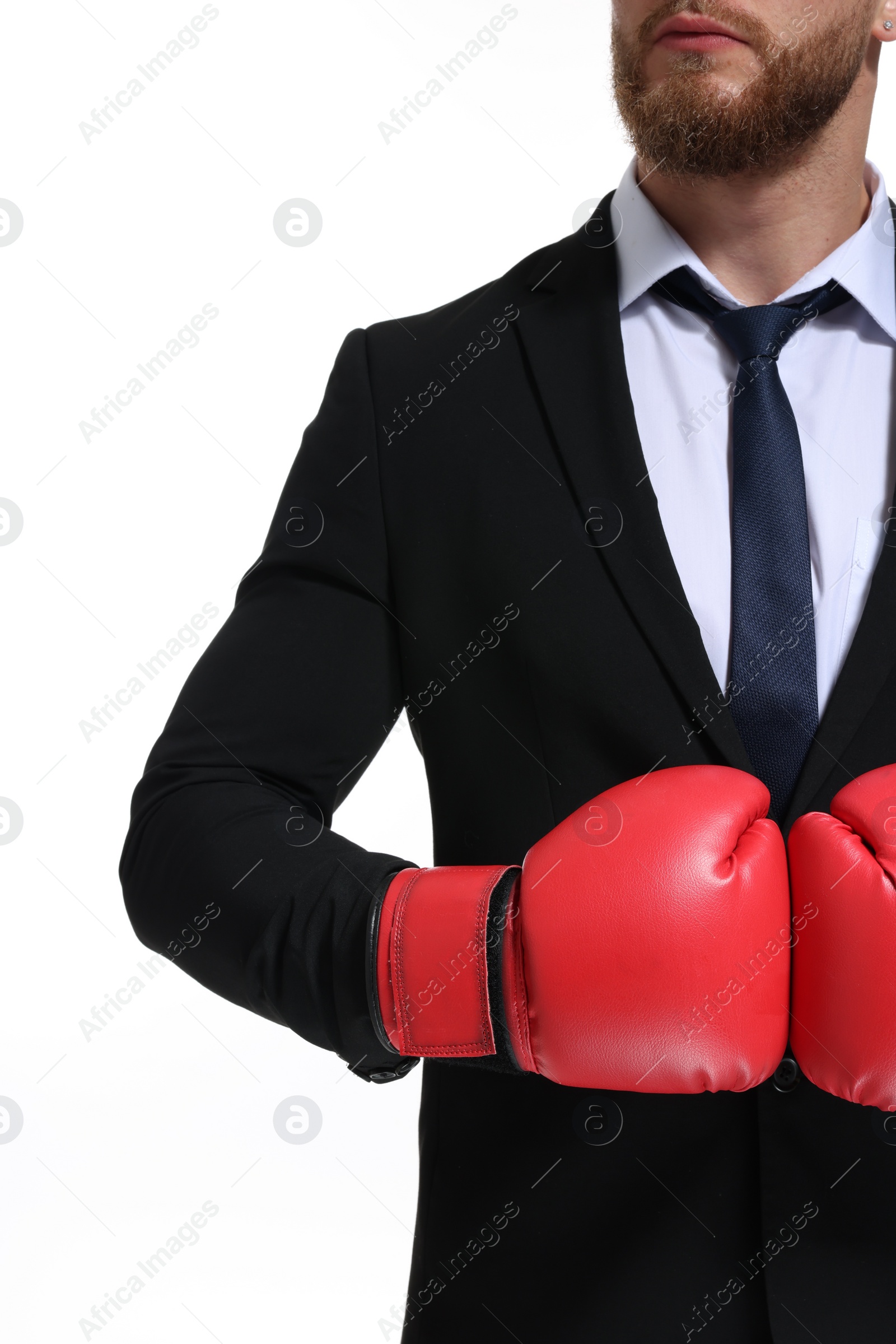 Photo of Businessman in suit wearing boxing gloves on white background, closeup