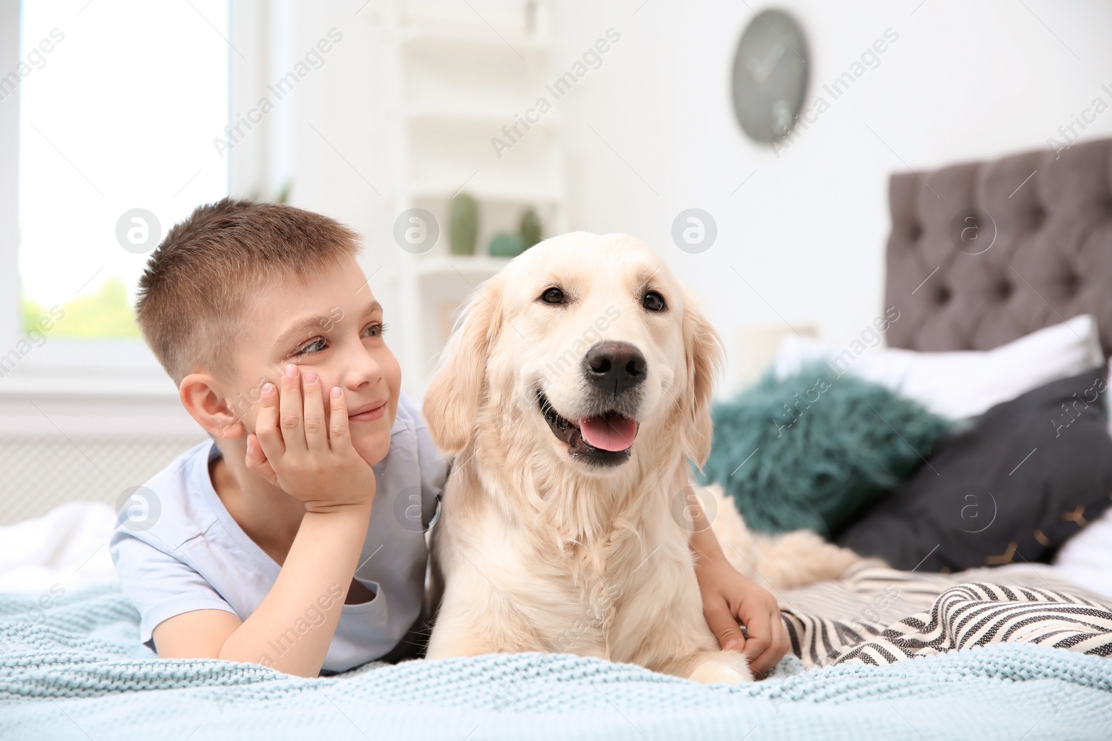 Photo of Cute little child with his pet on bed at home