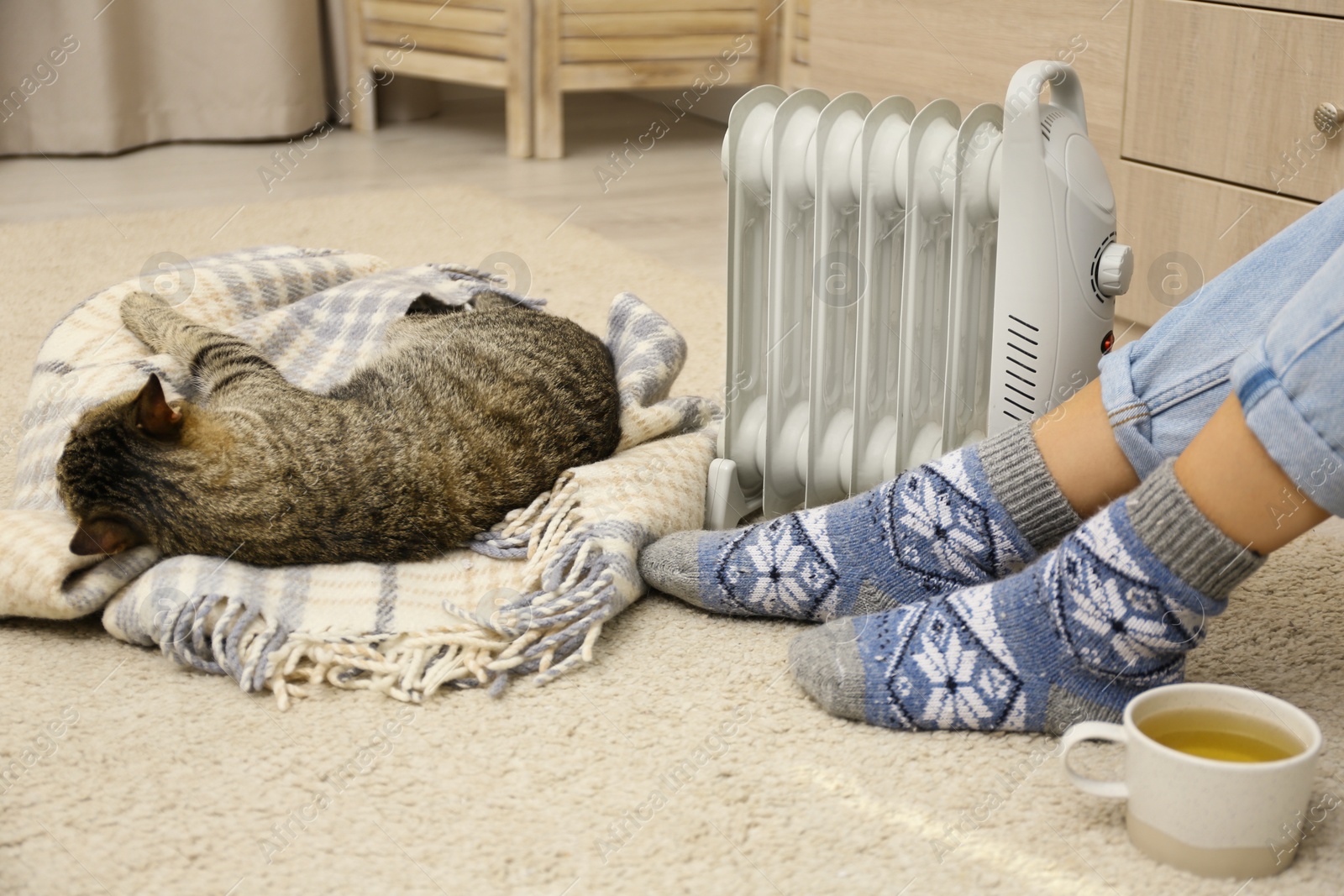 Image of Young woman and cute tabby cat near electric heater at home, closeup
