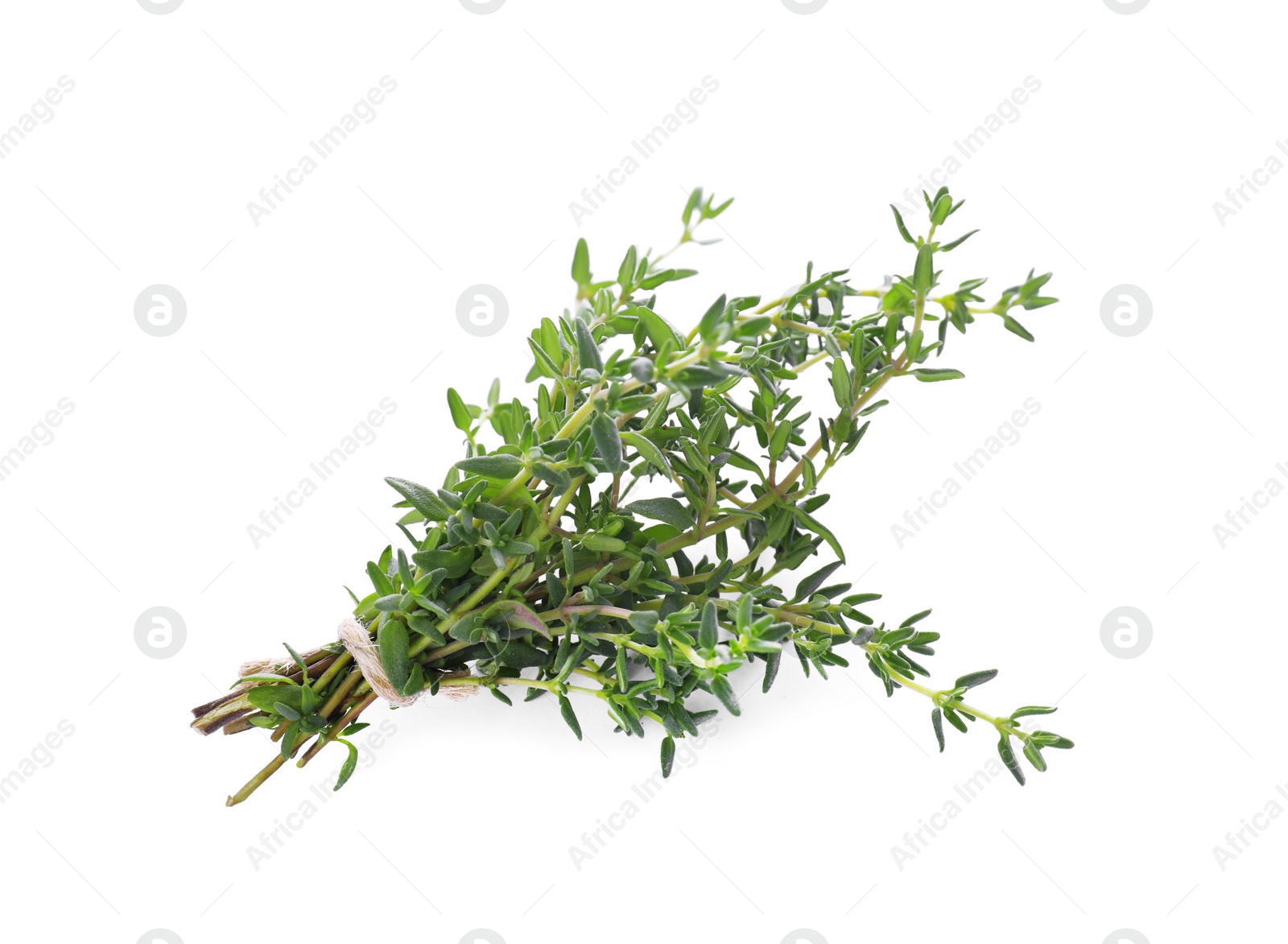 Photo of Bunch of fresh thyme isolated on white