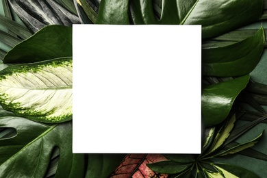 Photo of Blank card on tropical leaves, top view