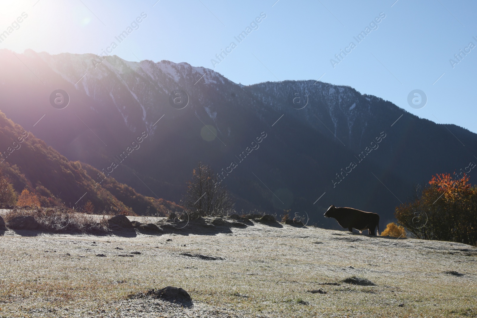 Photo of Picturesque view of beautiful high mountains under blue sky on sunny day