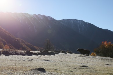 Picturesque view of beautiful high mountains under blue sky on sunny day