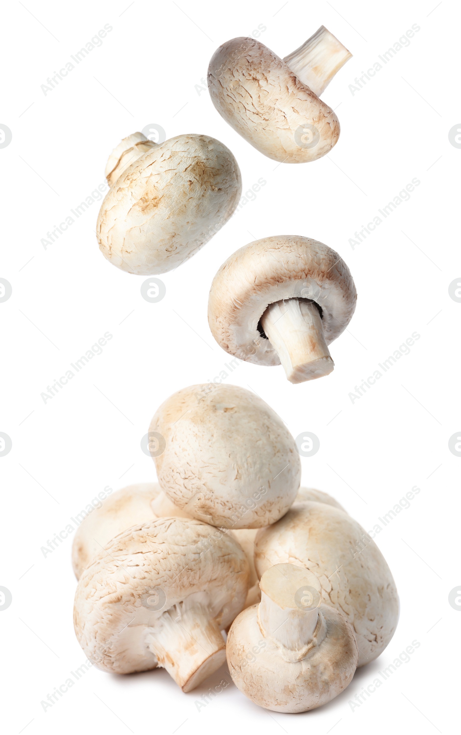 Image of  Set with fresh champignon mushrooms falling on white background