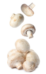  Set with fresh champignon mushrooms falling on white background