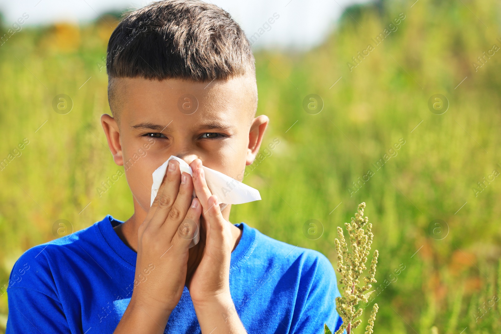 Photo of Little boy suffering from ragweed allergy outdoors