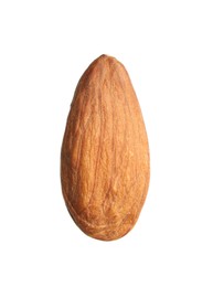 Organic almond nut isolated on white. Healthy snack