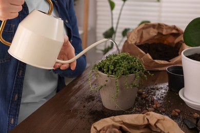 Photo of Woman watering houseplants after transplanting at wooden table indoors, closeup