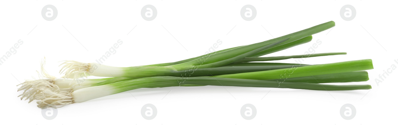 Photo of Fresh green spring onions on white background