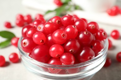 Photo of Fresh cranberry in bowl on light table, closeup