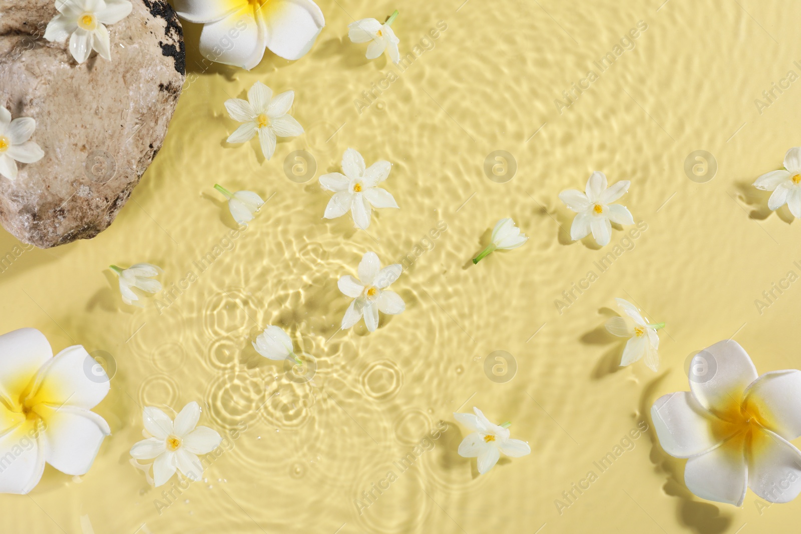 Photo of Beautiful flowers and stone in water on pale yellow background, top view