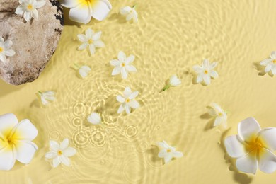 Photo of Beautiful flowers and stone in water on pale yellow background, top view