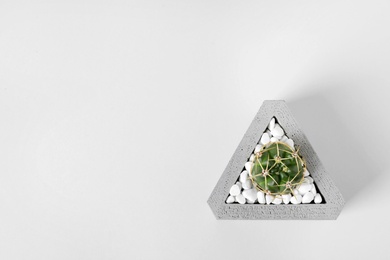 Beautiful succulent plant in stylish flowerpot on light background, top view with space for text. Home decor