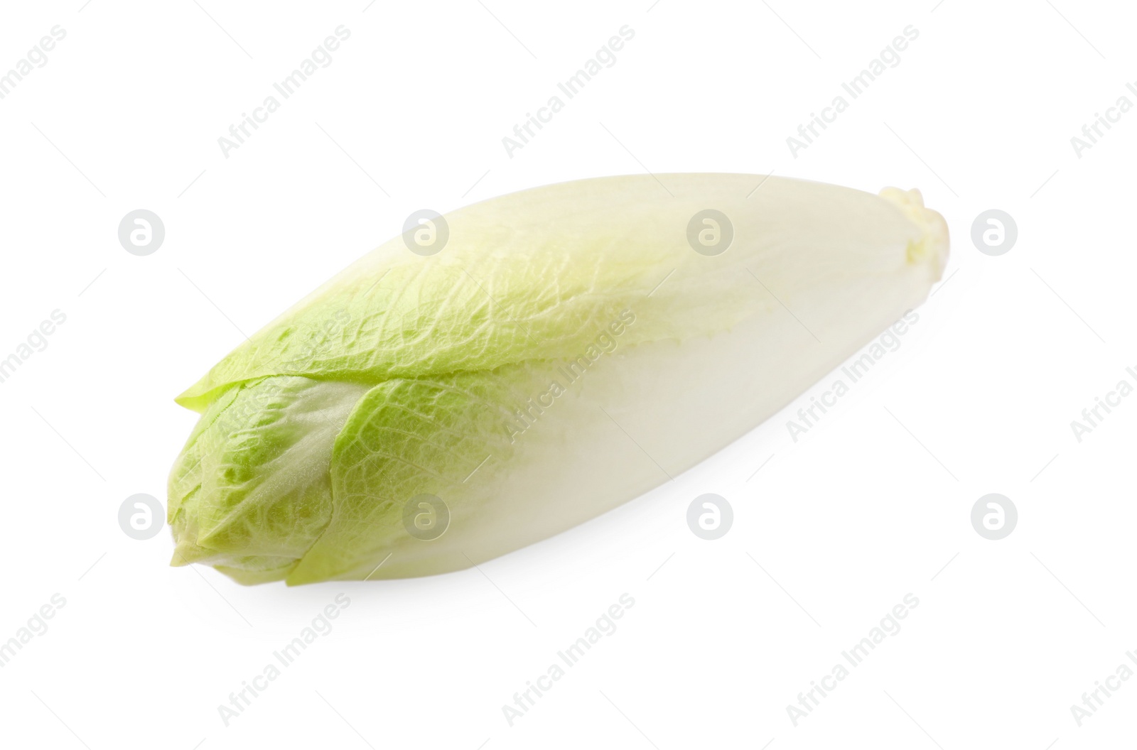 Photo of One raw ripe chicory isolated on white