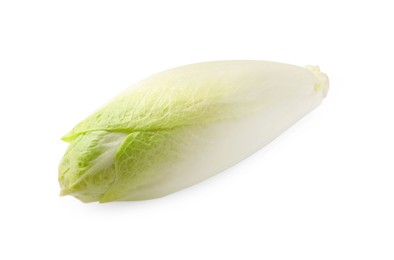 Photo of One raw ripe chicory isolated on white