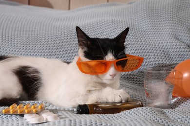 Photo of Cute cat with sunglasses and bottle of whiskey near hangover medicines on bed