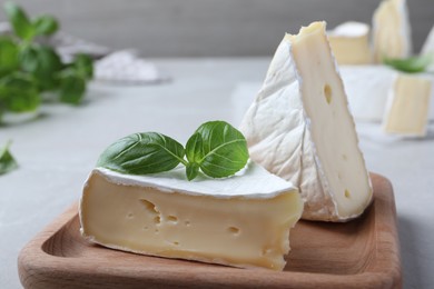 Photo of Delicious brie cheese with basil on light grey table, closeup