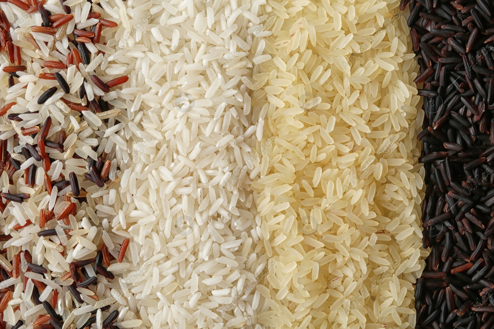 Photo of Brown and other types of rice as background, closeup