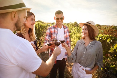 Photo of Friends clinking glasses of red wine in vineyard on sunny day
