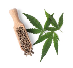 Photo of Fresh green hemp leaves and scoop with seeds on white background, top view
