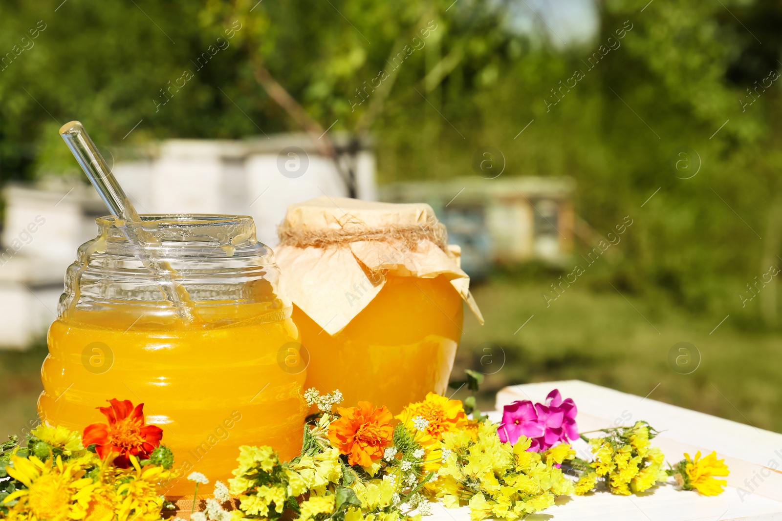 Photo of Delicious fresh honey and beautiful flowers on white wooden table in apiary, space for text