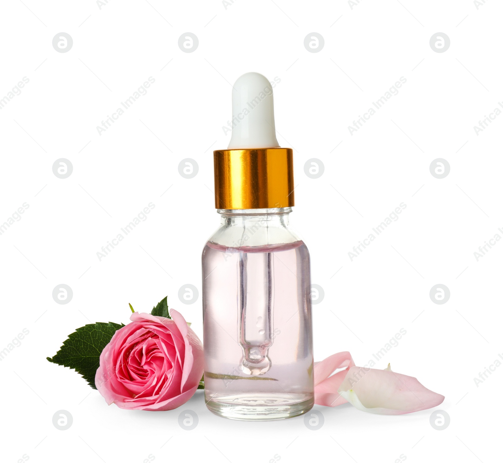Photo of Bottle of essential oil and rose on white background