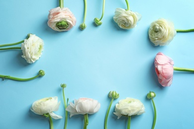 Photo of Frame made of beautiful ranunculus flowers on color background