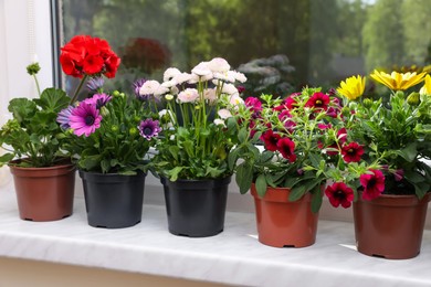 Photo of Different beautiful potted flowers on windowsill indoors