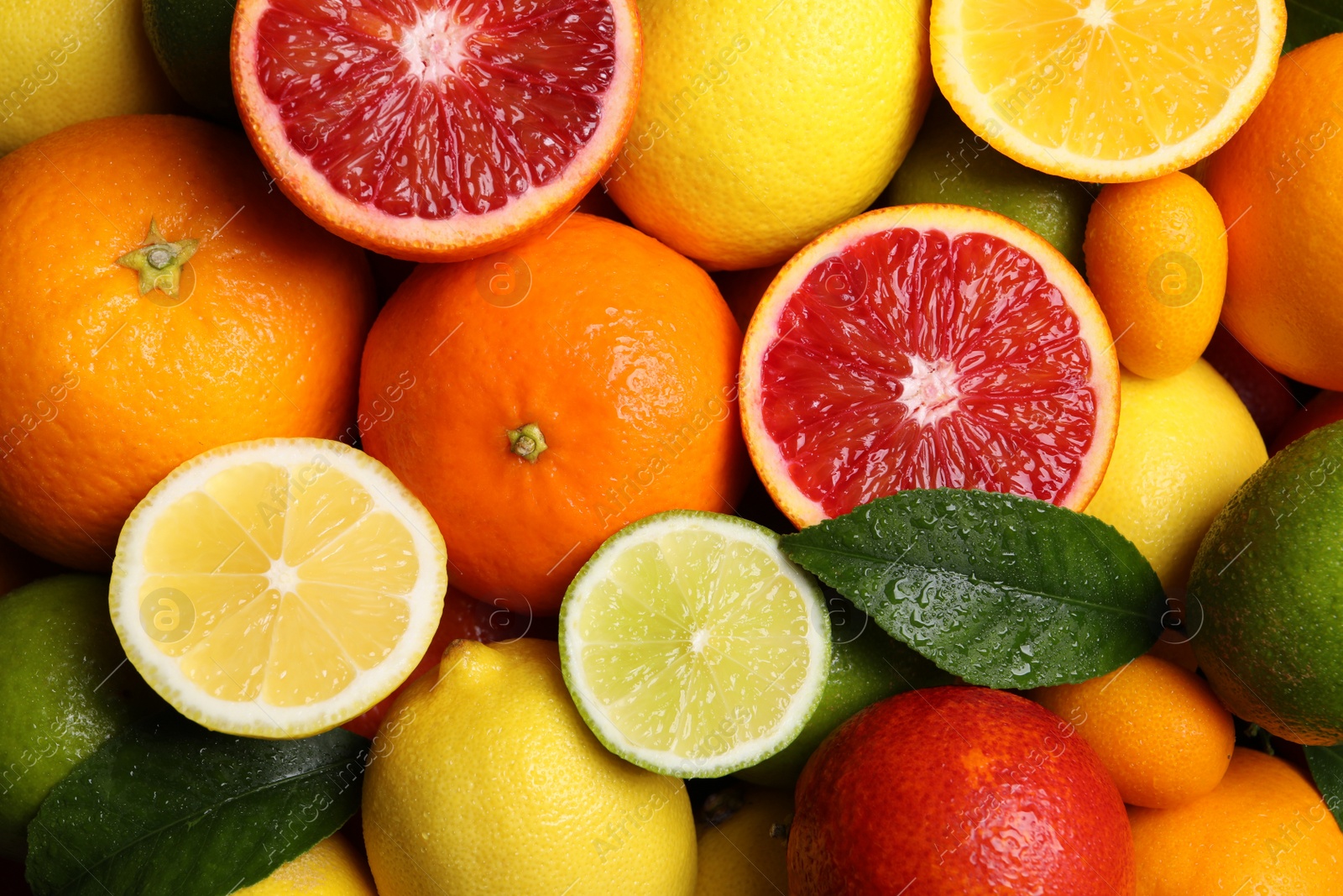 Photo of Different ripe citrus fruits as background, closeup