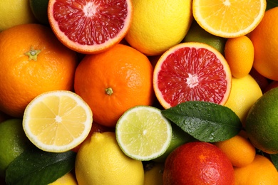 Photo of Different ripe citrus fruits as background, closeup