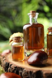 Chestnuts and bottles of essential oil on wooden log outdoors, closeup