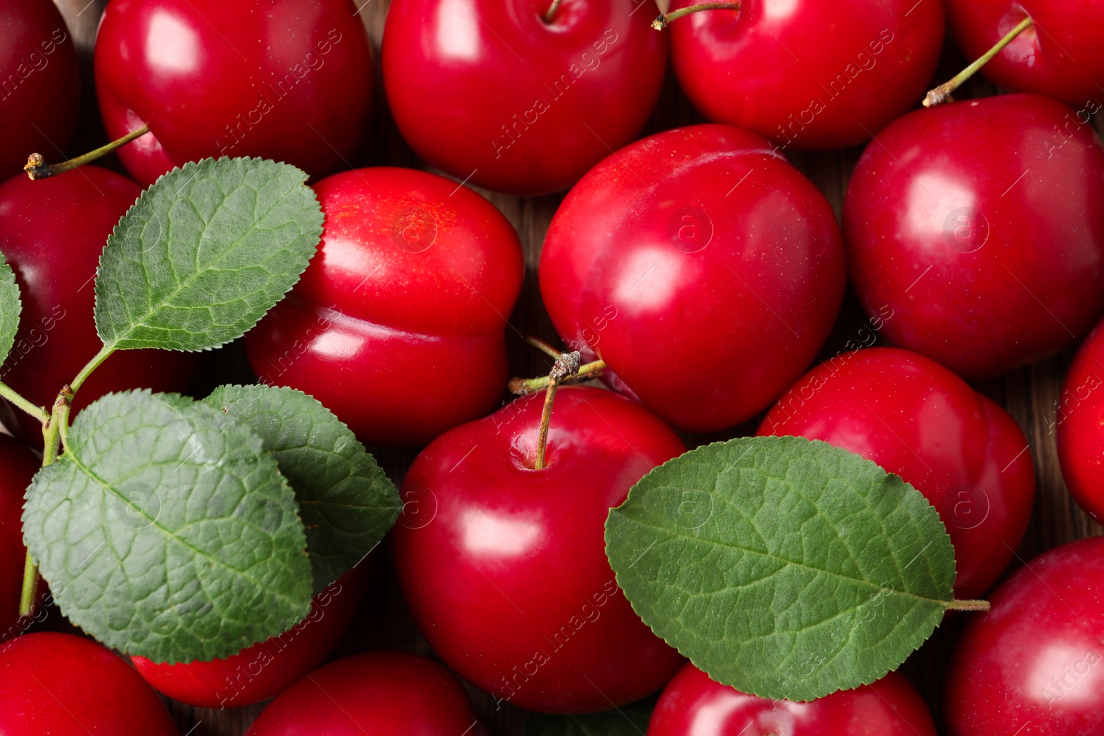 Photo of Fresh ripe cherry plums as background, closeup