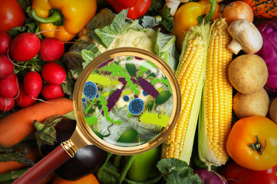 Image of Magnifying glass and illustration of microbes on vegetables, top view. Food poisoning concept  