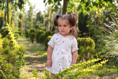 Photo of Cute little girl walking near green plants in park