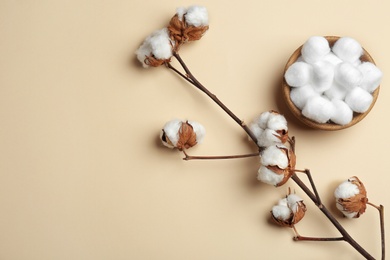 Photo of Branch with fluffy flowers and cotton balls in bowl on color background, flat lay. Space for text