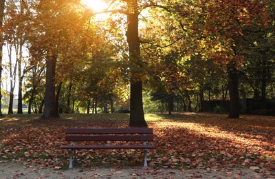 Photo of Picturesque view of park with beautiful trees and bench. Autumn season