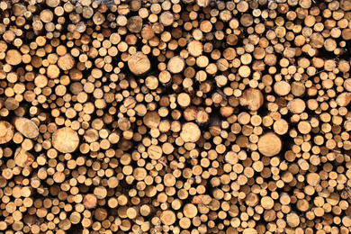 Photo of Stacked firewood as background. Heating house in winter