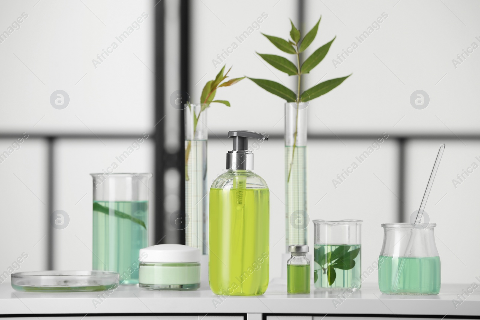 Photo of Bottle and glass tubes with leaves on white lab drawer indoors