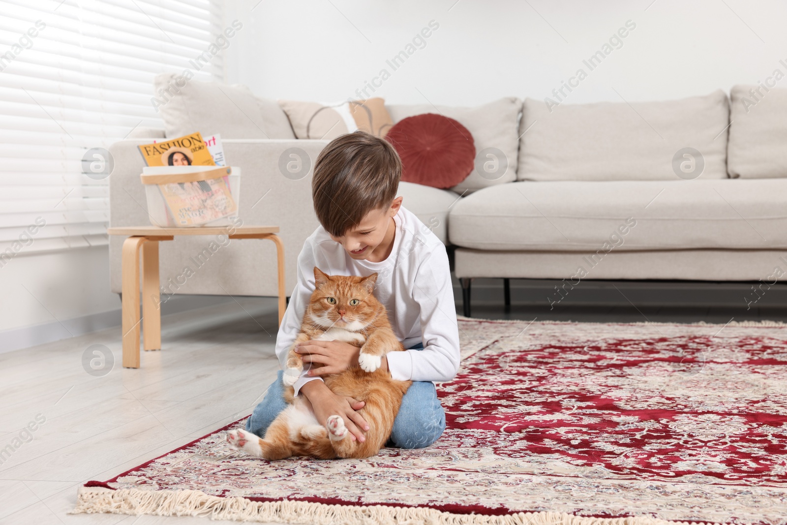 Photo of Little boy with cute ginger cat on carpet at home