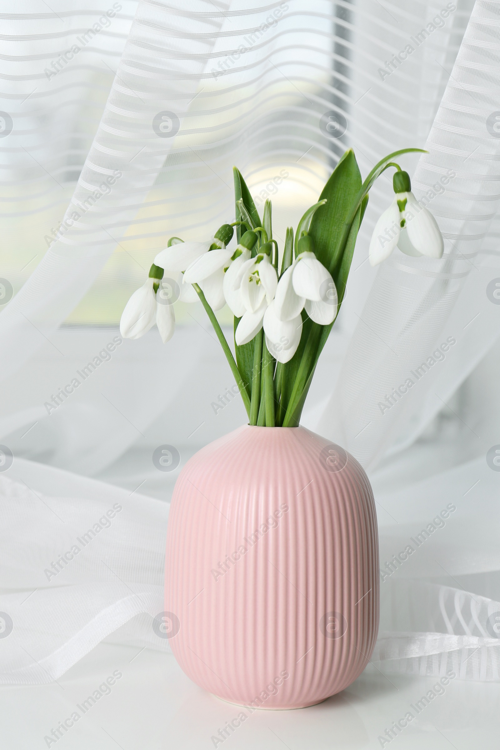 Photo of Beautiful snowdrops in vase on white wooden table indoors