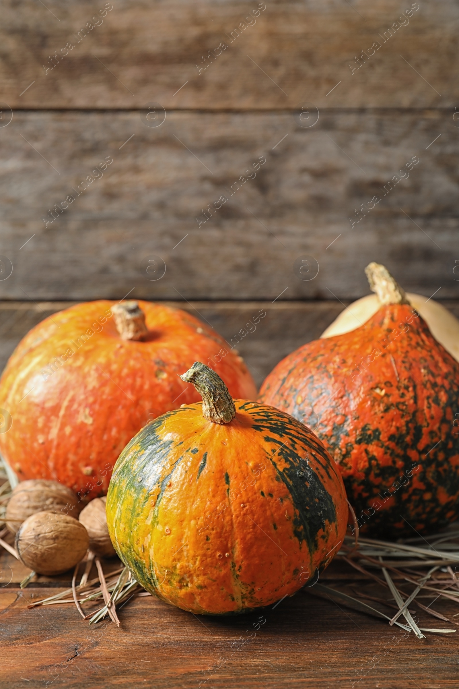 Photo of Different pumpkins on table against wooden wall. Autumn holidays