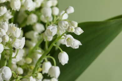 Photo of Beautiful lily of the valley flowers on light green background, closeup