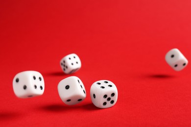 Photo of Many white game dices falling on red background