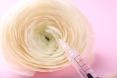 Photo of Cosmetology. Medical syringe and ranunculus flower on pink background, closeup